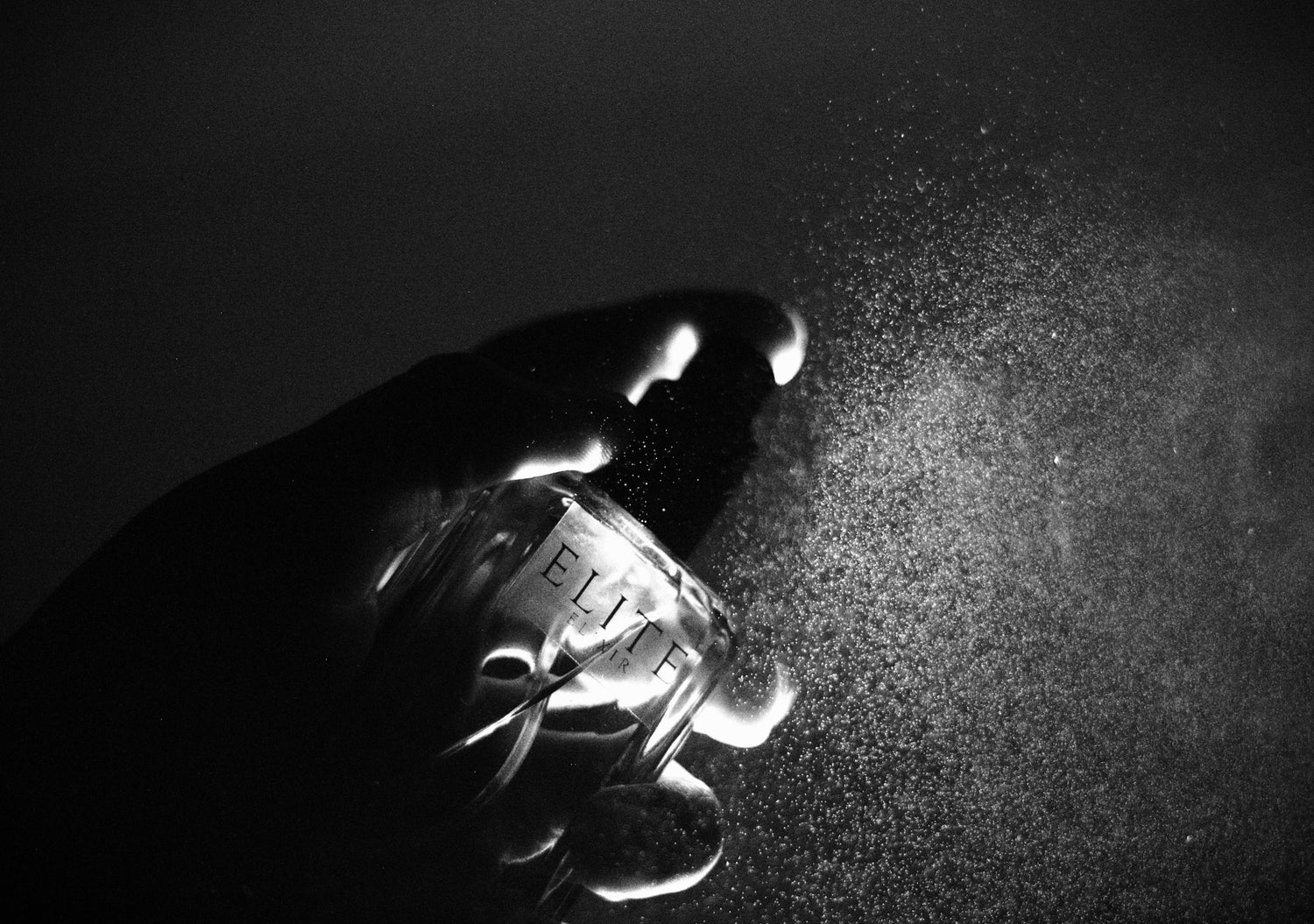 Exclusive Fragrances