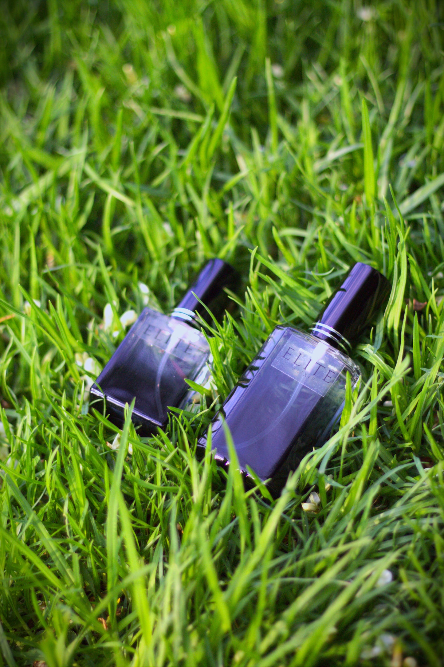 Paradise Amber — Inspired By Jean Paul Gaultier Paradise Gardens (MEN)